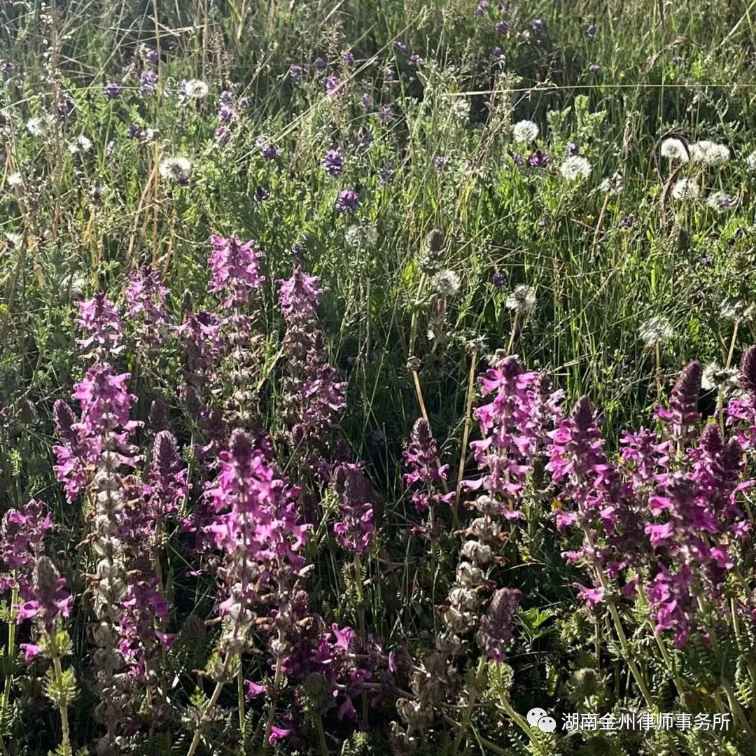 1691033437167836.jpg 640 (7).jpg